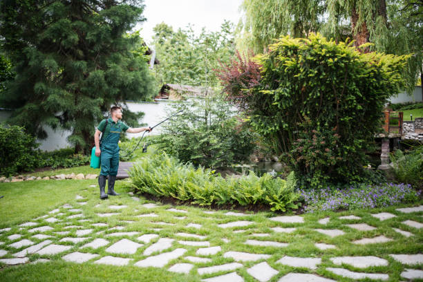 Professional Pest Control in Mineola, NY