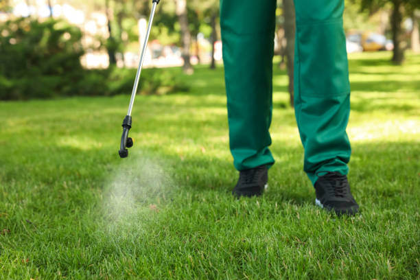 Best Pest Control Near Me in Mineola, NY