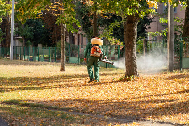 Best Pest Control Treatment  in Mineola, NY