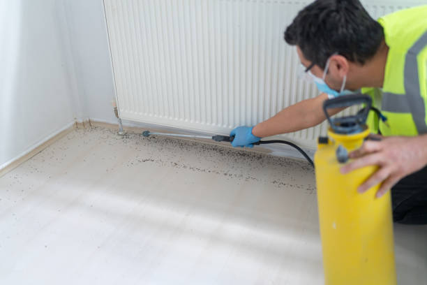 Best Best Pest Control Companies  in Mineola, NY
